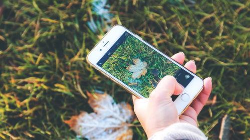 手机看片国产永久福利,国产福利大片,尽在掌握 第2张 手机看片国产永久福利,国产福利大片,尽在掌握 第2张