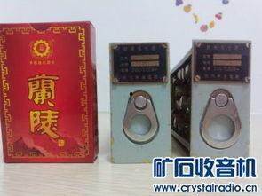 国产精品入,匠心独运，引领时代潮流的青春成长记  第1张