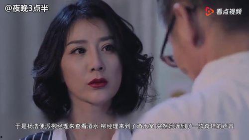 国产门视频,匠心独运，展现中国制造风采  第2张