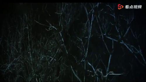 国产夜影院,探索国产夜影院的视听盛宴  第2张