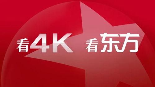 国产精品视,匠心独运，光影交织的艺术盛宴  第3张