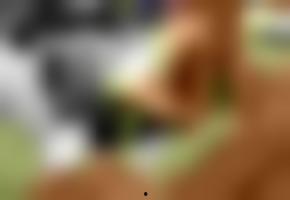 国产欧美高清在线观看,一键在线畅享