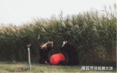 国产伊甸园,探寻东方梦幻乐园的奇幻之旅  第2张